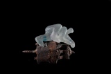 fragile mais désespéré 2017 - verre ferraille L 13.5  H 10 - bronzes ,  verre avec ferraille